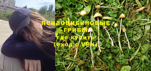 ешки Богородицк