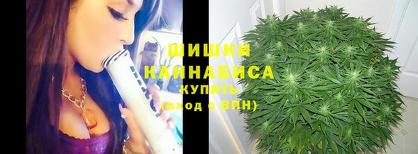 молекула духа Богородск