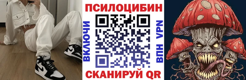 Купить закладки  Краснослободск  Галлюциногенные грибы GOLDEN TEACHER 